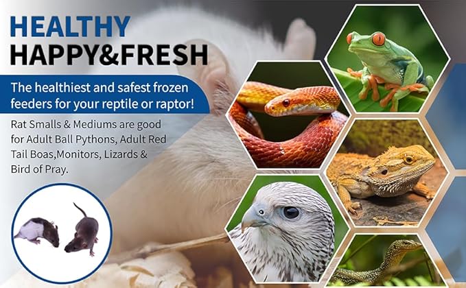 MiceDirect EST. 2003 40 Frozen Rat Combo Pack 20 Rat Smalls and 20 Rat Medium Feeders Snake Food for Juvenile Ball Pythons and Monitors (4.5-8 in)(2600 Grams Min)