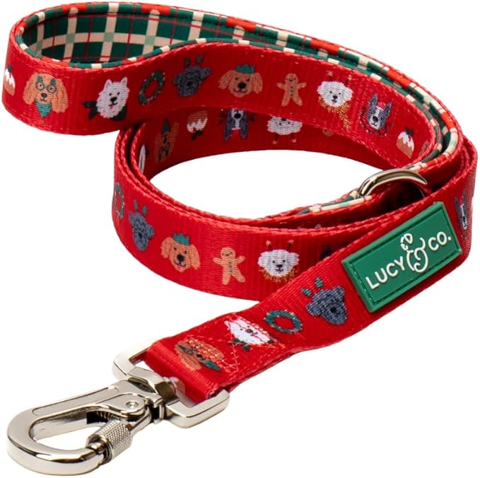 Lucy & Co. 5 Foot Designer Dog Leash for Small, Medium or Big Dogs or Puppies Puppy – Pet Accessories & Supplies- Happy Howlidays - Small