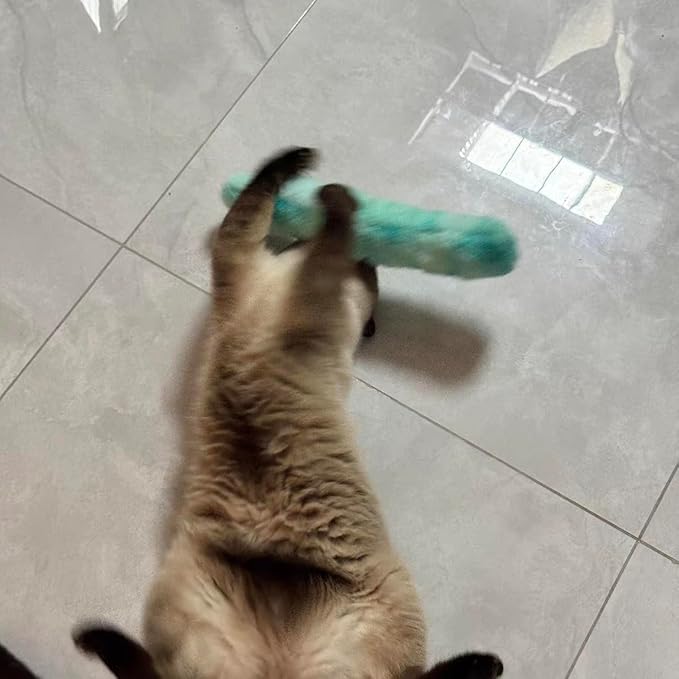 PAZ'S GIFT Catnip Toys - Cat Kick & Rope Toys for Indoor Play, cat & Kitten Teething Chew Toys for Aggressive Chewing & Teeth Cleaning (Cat Pillow)