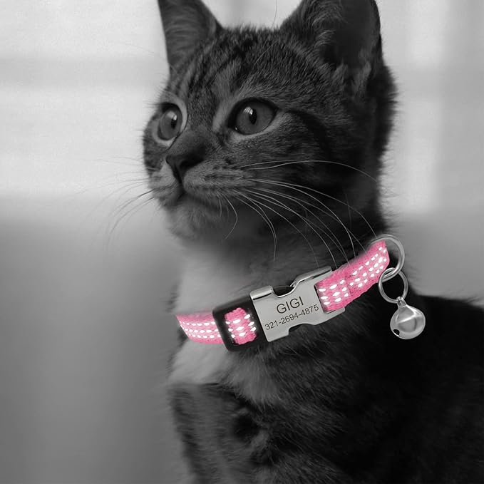 Personalized Reflective Nylon Cat Collar with Name Phone,Custom Engraved Buckle Cat Collar with Bell,Adjustable for Small Dogs Puppy Kitten (Pink,fit 7.5''-12.0'')