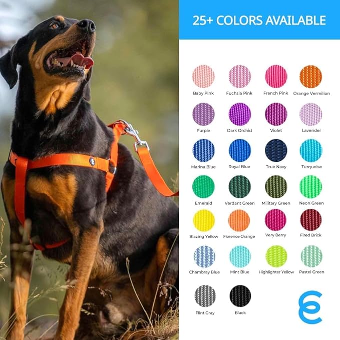 Blueberry Pet Essentials Fired Brick Dog Leash for Small -5' * 5/8" Dogs | Heavy Duty Nylon Lead | Lightweight Puppy & Cat Leash for Walking & Training