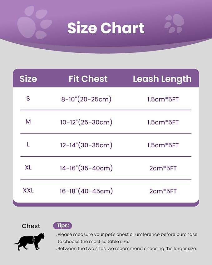 FAYOGOO Cat Harness, Cat Leash and Harness Set for Walking Escape Proof, Harness for Small Cats/Small Dogs, Large Kitten/Puppy Harness and Leash, Harness for Cats,XXL(Modern Violet, Medium)