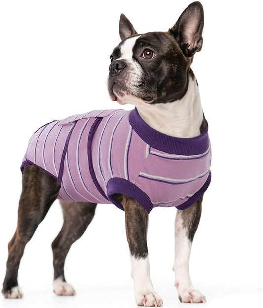 Kuoser Dog Surgery Recovery Suit for Female Male Dogs, Stripes Spay Neuter Anti-Licking Dog Onesie, Abdominal Wounds Surgical Suit Snugly Pet Collar Alternative Post Surgery Vest Bodysuit, Purple M