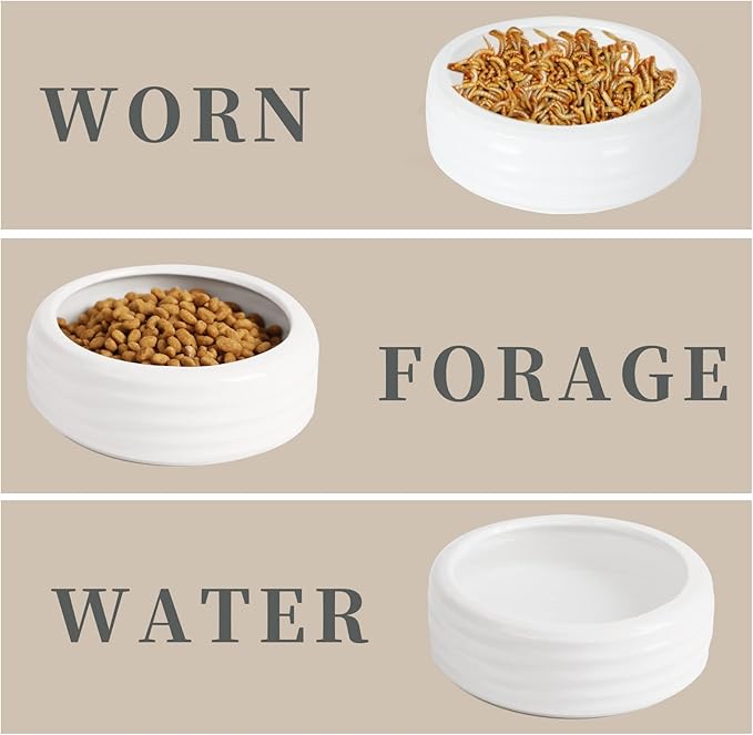 Reptile Food Bowls Ceramic Round Reptile Water Food Dish, Pet Food Bowl for Lizards, Small Snakes, Young Bearded Dragons, Gecko Tortoise Spider (White, Medium-1Pack)