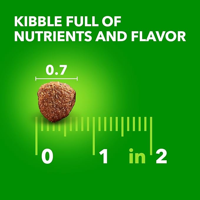 IAMS Proactive Health Large Breed Adult Dry Dog Food Lamb & Rice Recipe, 15 lb. Bag