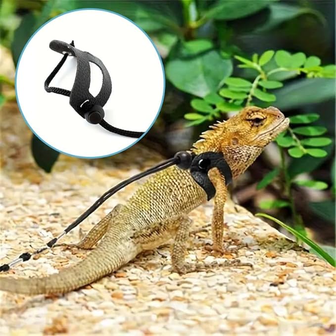 Small Animal Sling Carrier,Small Animal Bag for Bearded Dragons Lizards and Reptile with Adjustable Strap Tow Rope 3 Sizes Pack + Small Animal Sling Carrier（Grey）