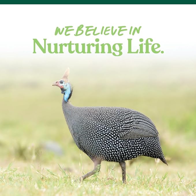 Manna Pro All Flock Crumbles – 16% Protein Complete Poultry Feed with Probiotics for Digestion, Crumbled Chicken & Game Bird Feed for All Flock Types, No Artificial Colors or Flavors, 25 lb