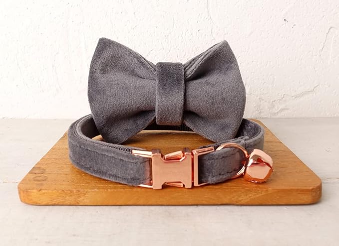 Cat Collar Personalized with Name Engraved and Bell, Customized Velvet Collars for Puppy Kittens (Grey, L)