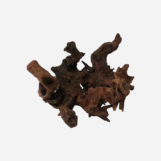 LYPHARD AQUARIUMS Natural Driftwood for Aquarium Decor, L18.5×W11.42×H13.78 Inches Large Drift Wood Decorations for Reptile Hide, Fish Tank, Optional Shapes