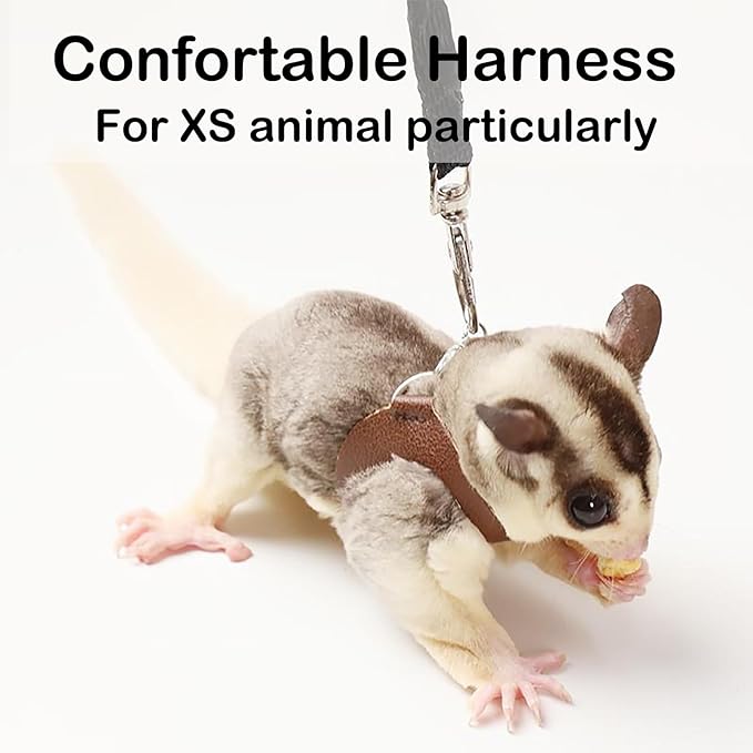 3 Pack Sugar Glider Harness and Leash Set Small Animal Training Walking Vest for Squirrel Hamster Rat-Black