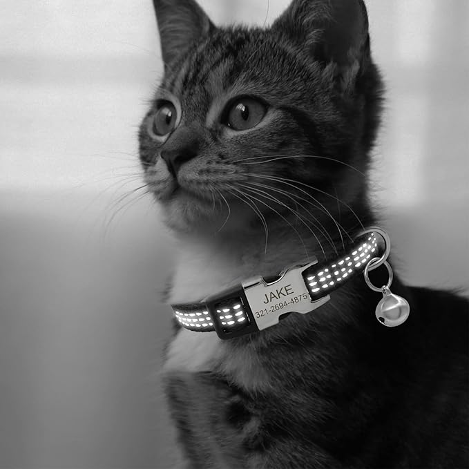 Personalized Reflective Nylon Cat Collar with Name Phone,Custom Engraved Buckle Cat Collar with Bell,Adjustable for Small Dogs Puppy Kitten (Black,fit 7.5''-12.0'')