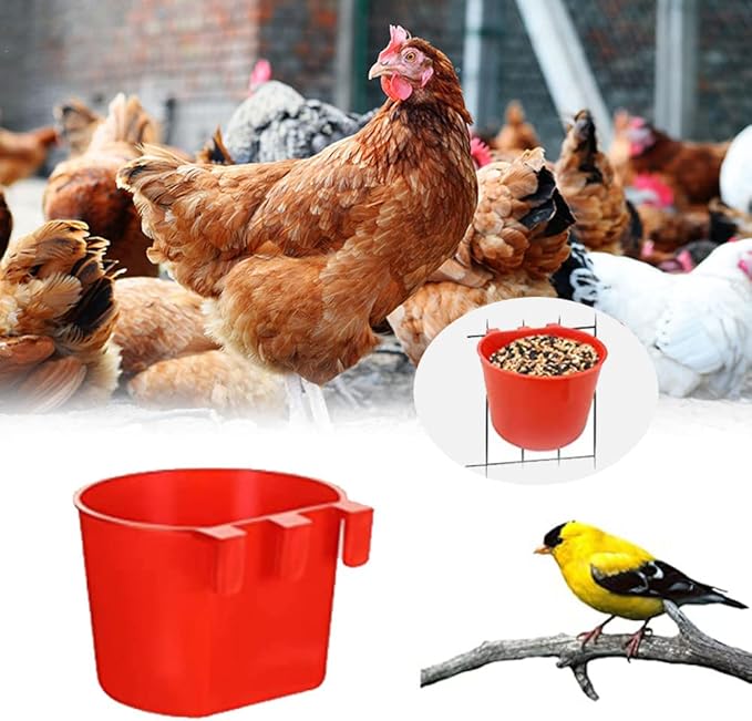 Cage Cups for Chickens,Chicken Feeders Waterer Bird Water Cup,Hanging Quail Waterer,Dish Seed Container Coop Feeder,Plastic Poultry Pet Feeding Water Bowl for Rabbit Pigeon,Round,10 Pack,Red