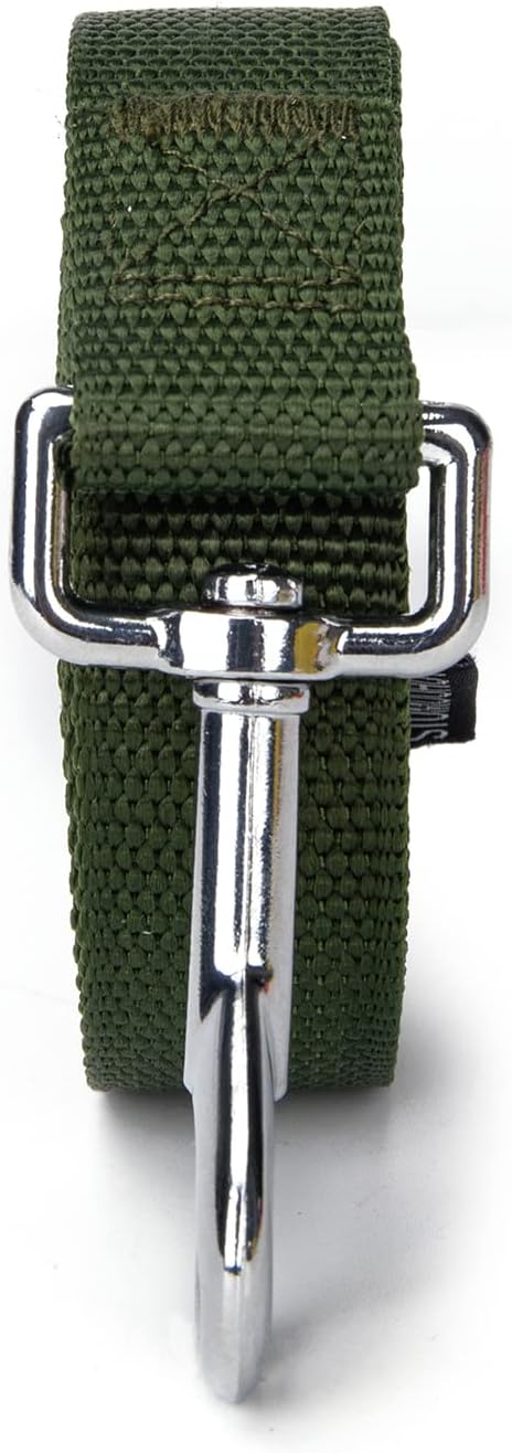 Strong Durable 6 ft Nylon Dog Training Leash, 1 Inch Wide Traction Rope, for Small and Medium Dog (Military Green, 6 Feet)