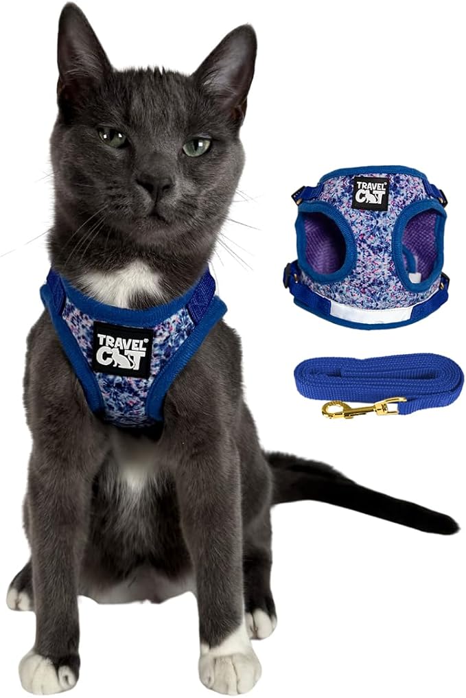 Travel Cat Harness and Leash Set - Adjustable Fit Mesh Cat Harness and Reflective Strap - Comfort Walking Vest for Kitten for Outdoor Walking, Hiking (Large, Groovy)