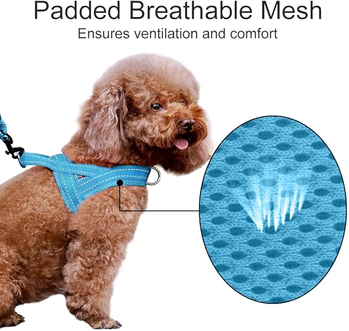 Plutus Pet No Pull Dog Harness with Breathable Mesh Padded, Adjustable Reflective Escape Proof Dog Harness, Quick Fit Dog Vest Harness for Small Medium Large Dogs(XXS, Cyan)