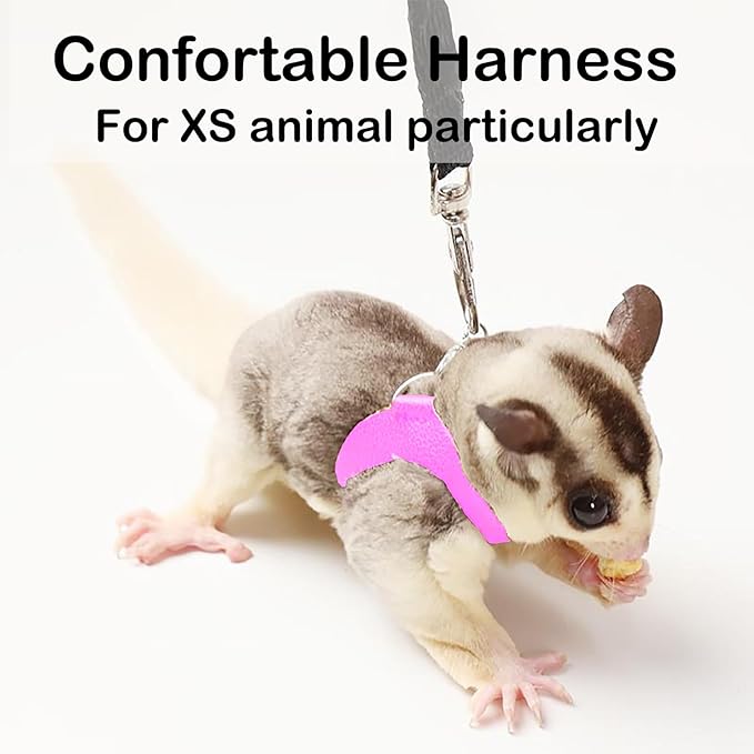 3 Pack Sugar Glider Harness and Leash Set Small Animal Training Walking Vest for Squirrel Hamster Rat Pink