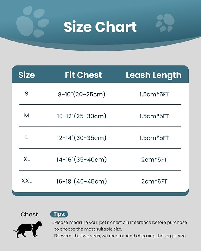 FAYOGOO Cat Harness and Leash Set | Upgrade Step-in Escape Proof Harness | Lightweight Soft Vest, No-Choke Design for Walking, Travel, Camping (Tranquil Teal)