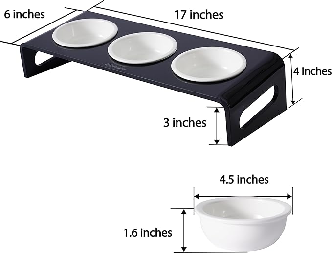 Tilted Raised Elevated Food and Water Bowls Stand for Cat or Small Dogs - Puppy's Clear Acrylic Stainless Steel 3 Dishes Holder for Boy or Girl Pet by WBhonghui (Black-3bowls)