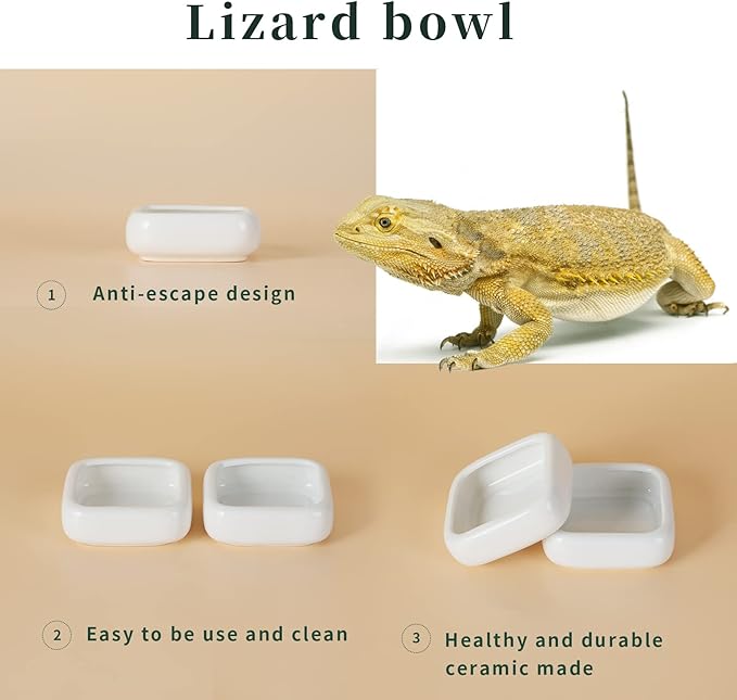 Reptile Food Bowls Ceramic Square Reptile Water Food Dish, Pet Food Bowl for Lizards, Young Bearded Dragons, Small Snakes, Gecko Tortoise Spider (White, Large-1Pack)