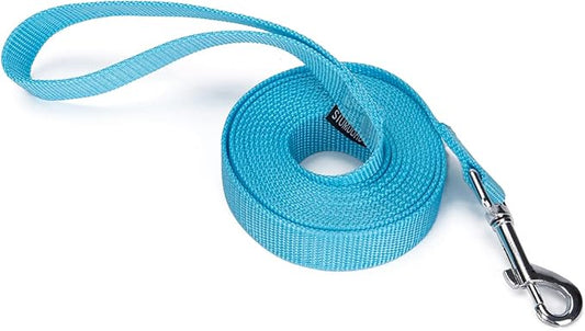 Strong Durable Nylon Dog Training Leash, 1 Inch Wide Traction Rope, 10 ft Long, for Small and Medium Dog (Mint Blue, 10 Feet)