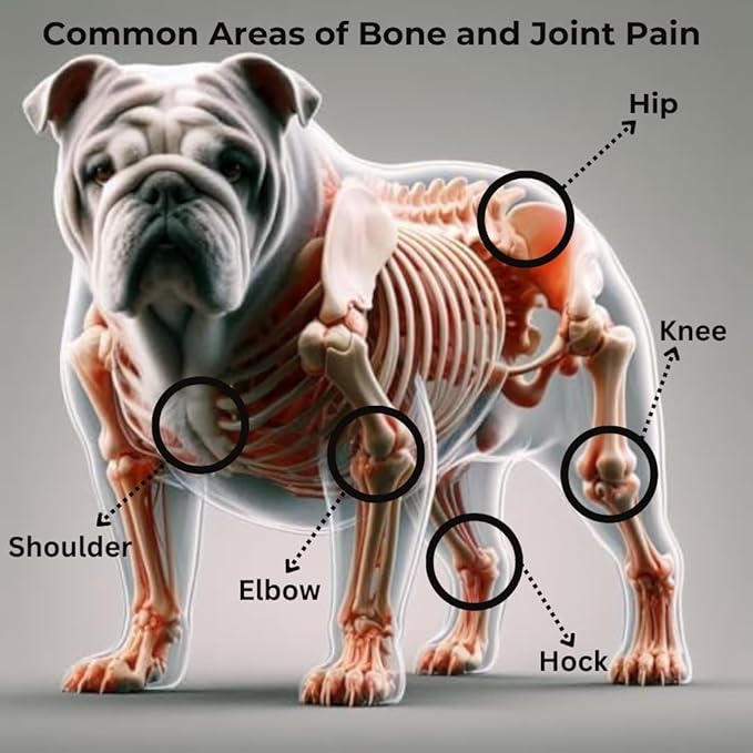 AdvancedPUP Hip and Joint Supplement - Effective Chondroitin MSM & Turmeric for Dogs - Dog Hip & Joint Care to Heal Dog Joint Stiffness & inflammation - Natural Glucosamine Supplement Tasty Bacon 90CT