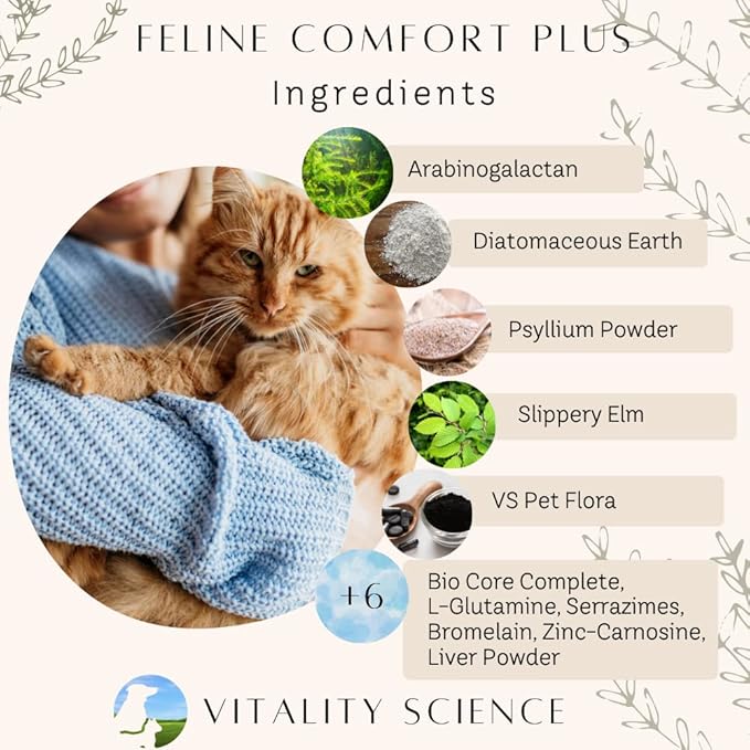 Feline Comfort Plus, Extra Drying Digestive Aid, GI Support Helps with Vomiting and Diarrhea, 100% Additive Free (Liver, Small)