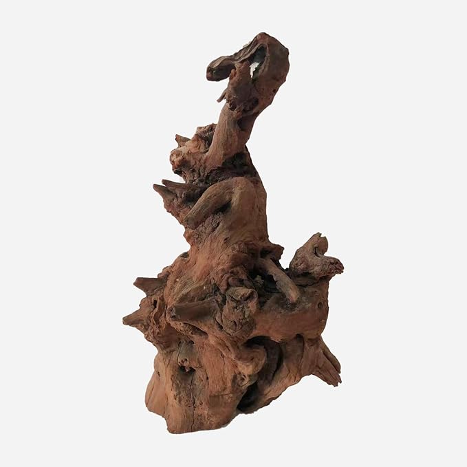 LYPHARD AQUARIUMS Natural Driftwood for Aquarium Decor, L12.2×W7.48×H13.78 Inches Large Drift Wood Decorations for Reptile Hide, Fish Tank, Optional Shapes