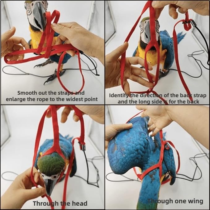 Adjustable Bird Harness with 78.7 Inch Leash, Outdoor Flying Training Rope Kit for Bird Parrots, Parrot Flying Rope Straps Outdoor Training Traction Rope for Small Medium Large Size Birds (XS)