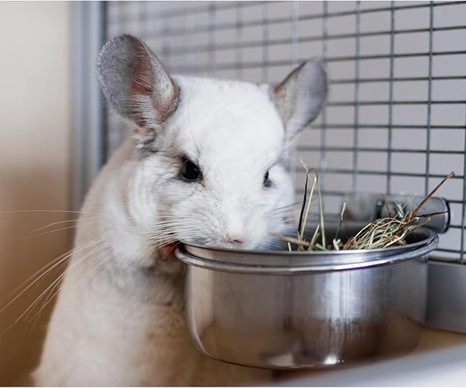 Stainless Steel Cup w/Holder - Durable Metal Mountable Food & Water Dish - Sugar Gliders, Hedgehogs, Chinchillas, Rats, Ferrets, Guinea Pigs, Rabbits, Squirrels, Birds (5 oz., Silver)