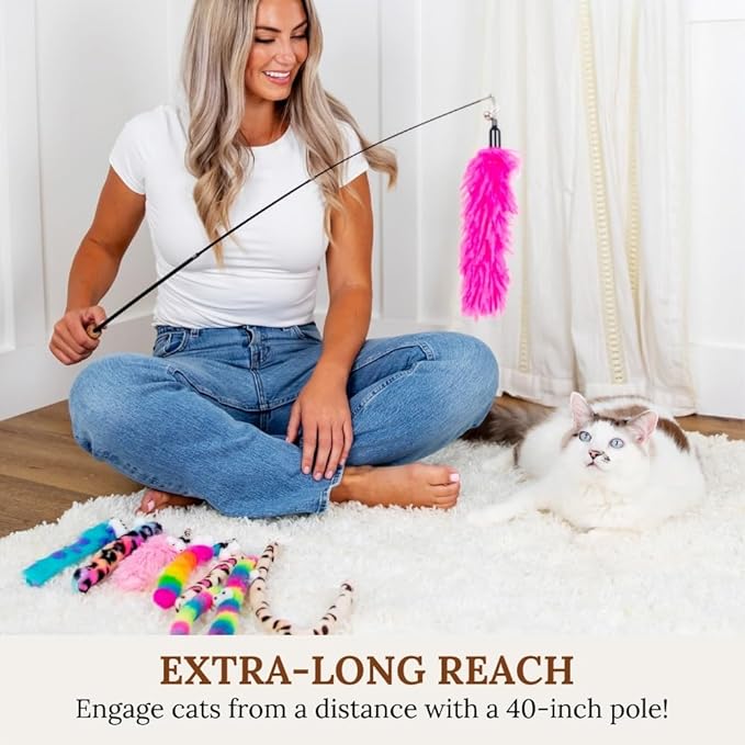 Cat Toys Set Cat Toy Wand Fishing Pole Retractable Teaser & Fuzzy Worm Interactive Kitten Toys Wand Attachments