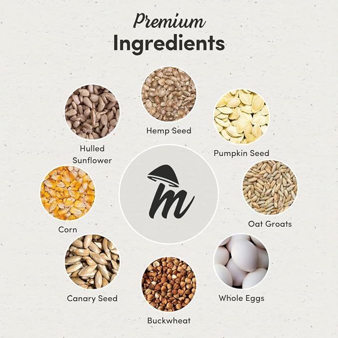 Mycelium Organic Small Parrot Plus Bird Seed (5 LBS) | Premium Food for Small Pet Birds | High-Protein, Vitamin-Fortified Daily Nutrition | Supports Brain & Heart Health | USA Made, Non-GMO