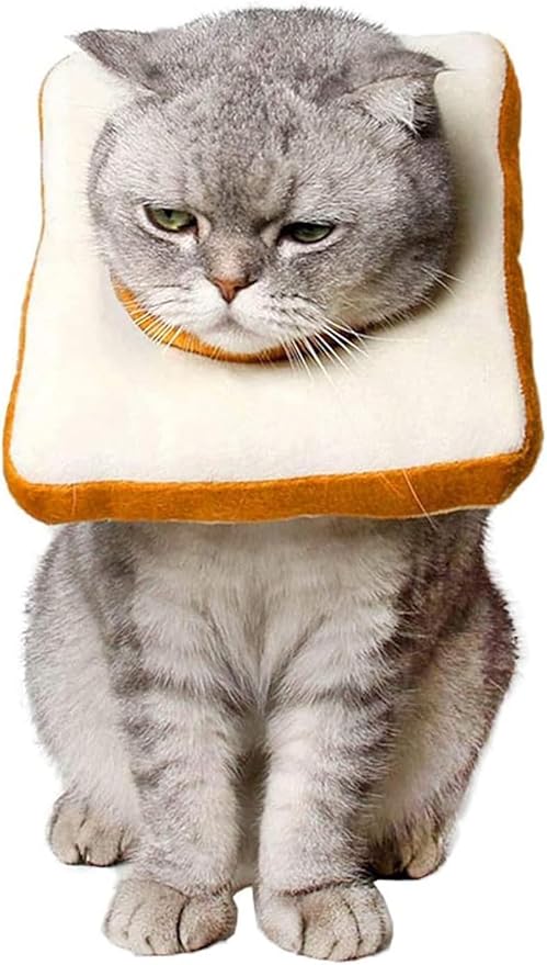 Amakunft Adjustable Cat Recovery Collar - Soft Cone for Post-Surgery Care, Kitten & Adult Cat (Toast, M)