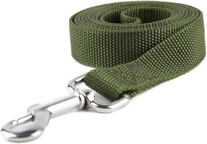 Nylon Dog Training Leash, Traction Rope, 4/5/6 Feet Long, 3/4 Inch 1 Inch Wide, for Small and Medium Dogs (1'' x 4 FT, Green)