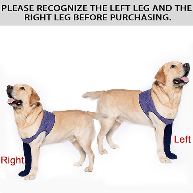 COODEO Dog Socks to Prevent Licking Paws, Healing Boots & Paw Protectors with Non-Slip Bottoms for Wound Protection, Waterproof Sleeve Shoes for Licking（Purple，XL_Right