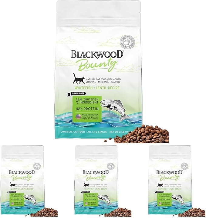 Blackwood Bounty Dry Cat Food, Whitefish & Lentil Recipe for All Life Stages, 2 Pound Bag, High Protein, Grain Free (Pack of 4)