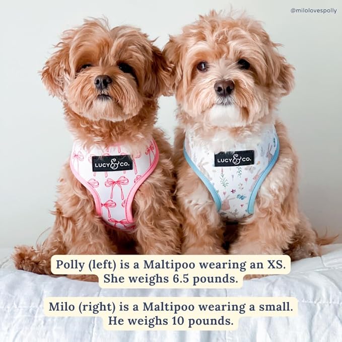 Lucy & Co. Cute Reversible Dog Harness Walking Halter - Best Designer Pet Harnesses for XS - XL Dogs - Padded Adjustable Vest for Easy Walking (Small, Ballet Bows - White & Pink Bows)
