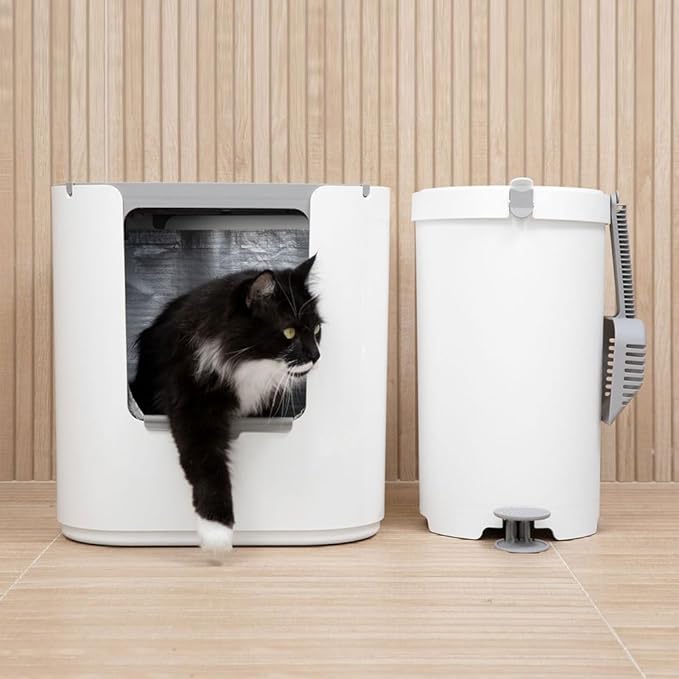 Modkat® XL Litter Box, Top or Front-Entry Configurable, Full Height Seamless Base, Reusable Litter Liners, Sifting Litter Scoop, 2X Bamboo Charcoal Filters - White