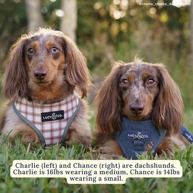 Lucy & Co. Cute Reversible Dog Harness Walking Halter - Best Designer Pet Harnesses for XS - XL Dogs - Padded Adjustable Vest for Easy Walking-X-Small-Green Outdoor Plaid