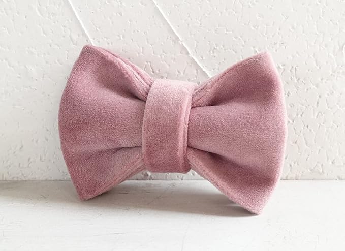 Cat Collar Personalized with Name Engraved and Bell, Customized Velvet Collars for Puppy Kittens (Pink, L)