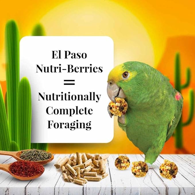 LAFEBER'S El Paso Nutri-Berries Pet Bird Food, Made with Non-GMO and Human-Grade Ingredients, for Parrots (10 oz Pack of 2)