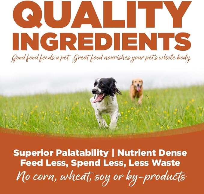 NutriSource Harvest Selects Hunter's Bounty Dog Cans, Premium Wet Dog Food, 12.3 Ounce (Pack of 12)