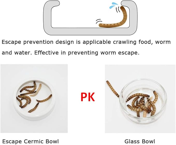 Tfwadmx 2 Pack Reptile Food Bowl, Mini Ceramic Water Feeder Bowl, Reptile Worm Feeding Dish for Lizard Turtle Bearded Dragon Anoles Crested Gecko Hermit Crab Leopard Gecko Chameleon Corn Snake