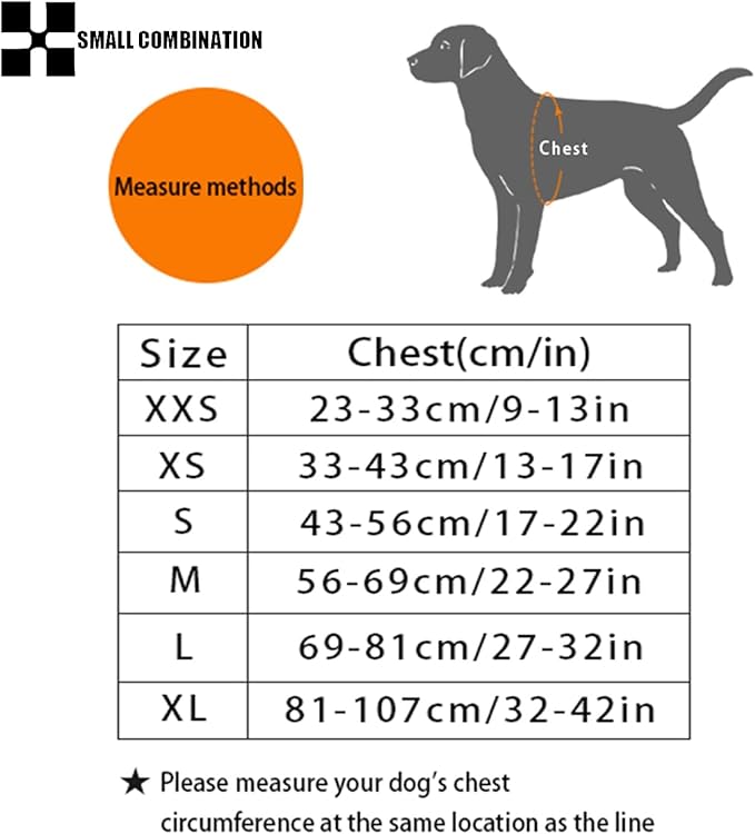 Adjustable Dog Harness with Leash, Reflective Mesh, No-Pull Design，Matching Lead Rope (SkyBlue, M)