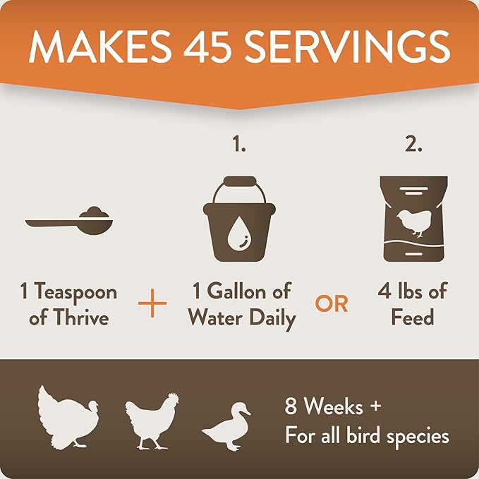 Thrive, Daily Probiotic & Prebiotic Poultry Supplement for Chickens 8+ Weeks Old, 8 oz