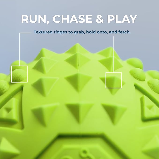 Best Pet Supplies Squeaky Dog Toys with Soft Durable Fabric for Small, Medium and Large Pets Interactive Toy for Indoor Play, Supports Active Biting and Play - Fuchsia, Green (L:3.5")