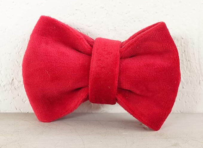 Cat Collar Personalized with Name Engraved and Bell, Customized Velvet Collars for Puppy Kittens (Red, L)