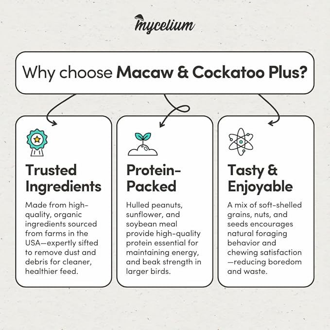 Mycelium Organic Macaw & Cockatoo Plus Bird Food (5 LBS) | High-Protein Bird Seed for Large Birds | Vitamin-Enriched Daily Nutrition | Skin & Feather Support | Non-GMO & USA Made