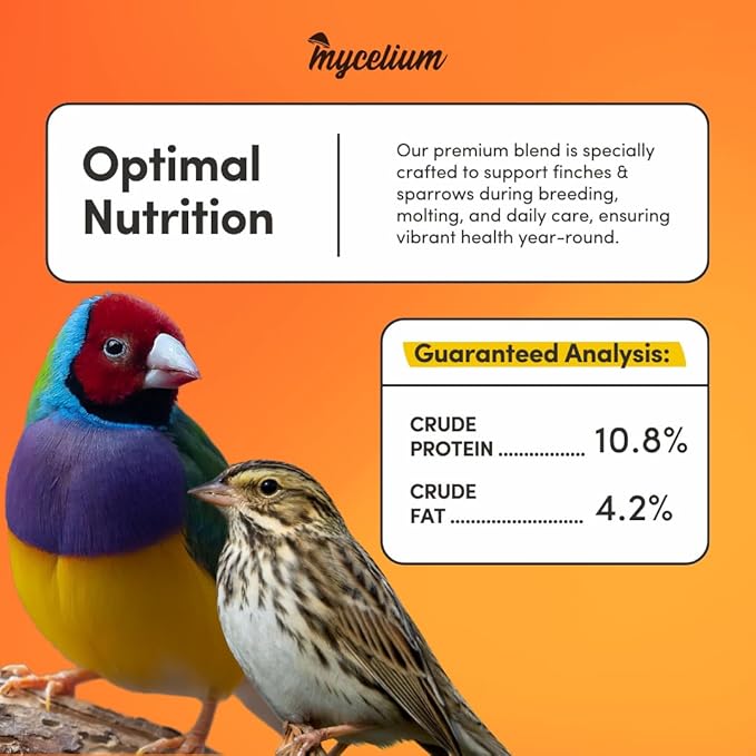 Mycelium Organic Finch & Sparrow Wild Bird Food (5 LB Bag) | Premium Seed Mix for Songbirds | Balanced Energy & Nutrition | Sifted, Low-Waste, Made in USA