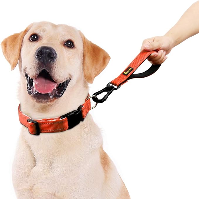 PLUTUS PET 10” Short Dog Leash, Reflective Nylon Padded Handle, Strong Traffic Leash with Carabiner Clip, Perfect for Large or Medium Dogs（10”，Orange