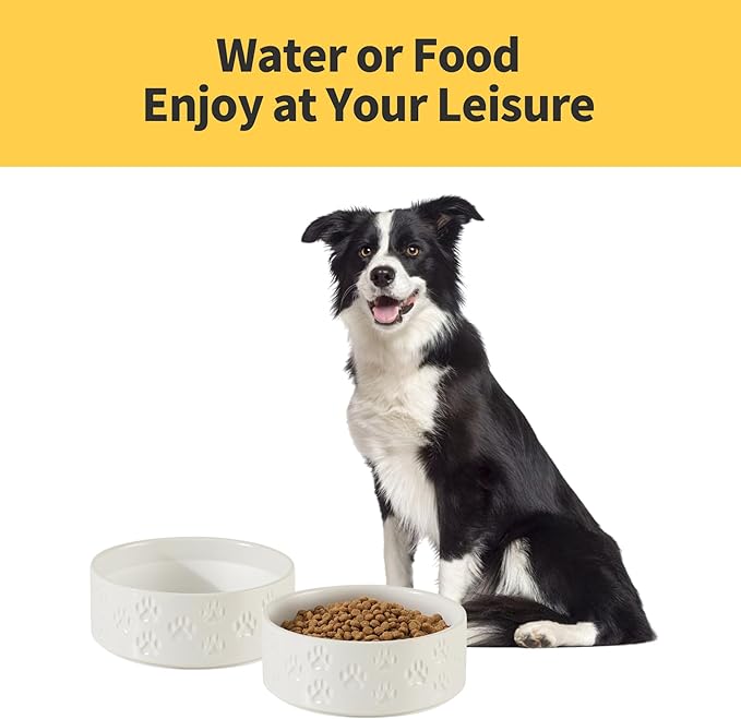 Ceramic Dog Bowl Set, 7.3" Dog Bowls with Anti-Slip Rings for Medium Breed Dogs, 5 Cup Food and Water Bowls, Pet Dishes for Medium-Sized Dogs, Microwave Safe (Double Bowls - White, 7.3 inch)